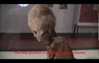 Anatomy Expert Believes Enigmatic Skeleton Of Peru Is Not Human