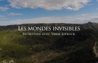 Yann Lipnick : Les mondes invisibles