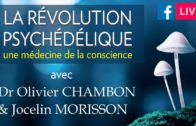 ENTREVUE – LA RÉVOLUTION PSYCHÉDÉLIQUE avec DR OLIVIER CHAMBON et JOCELIN MORISSON